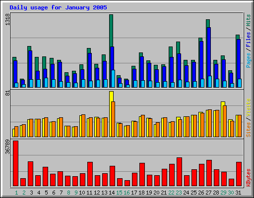 Daily usage for January 2005